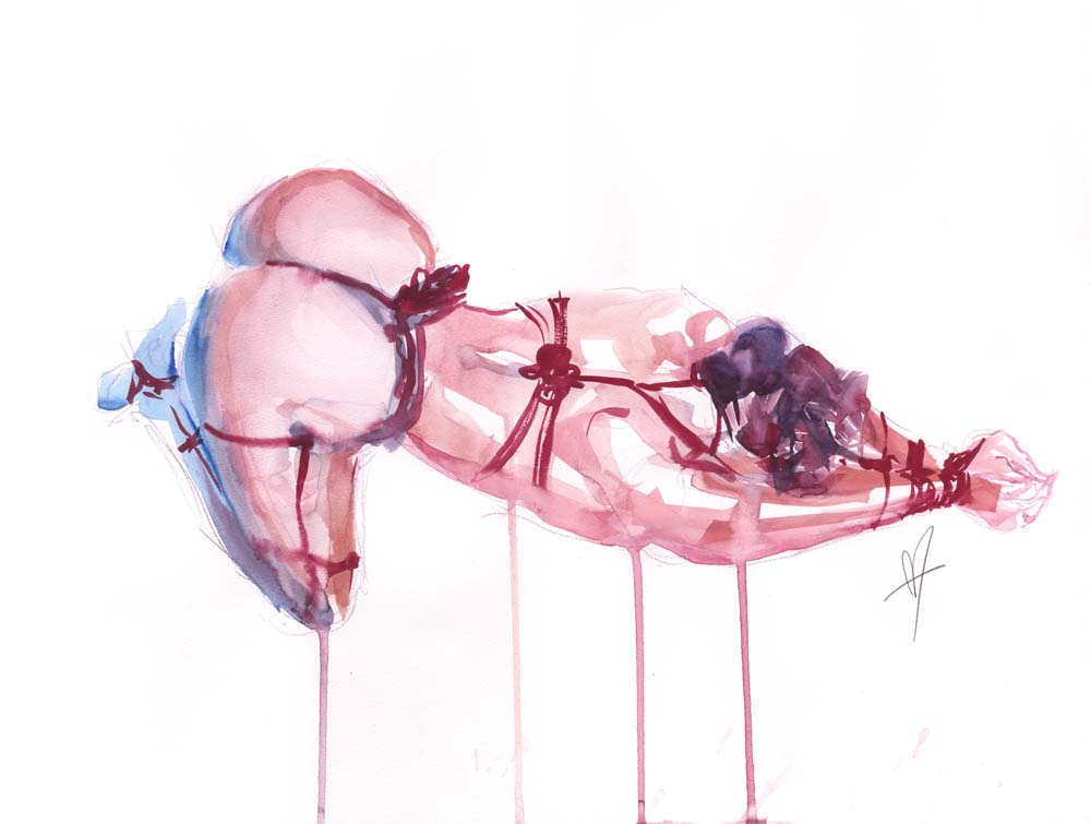 Shibari 2