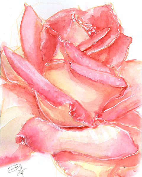 Blushing - Slow Burn Studio