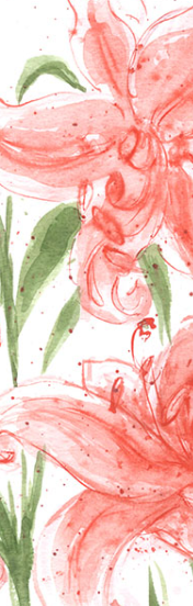 Closeup of orange lilies in watercolor