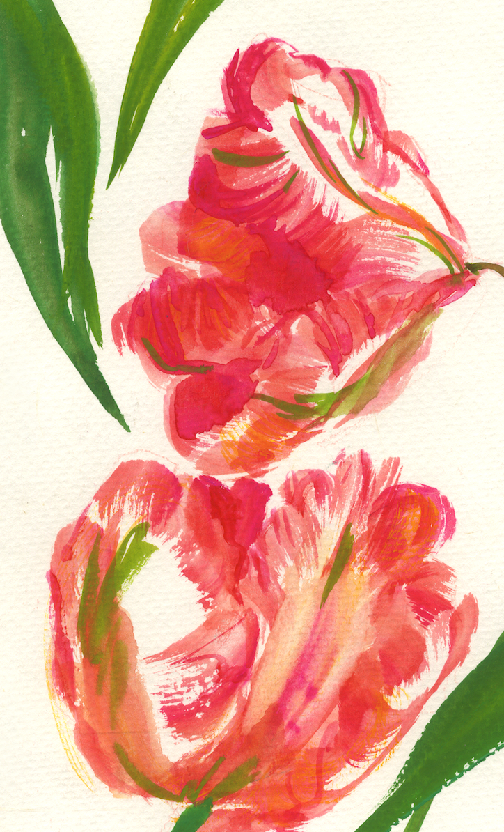 Parrot Tulips Times Three