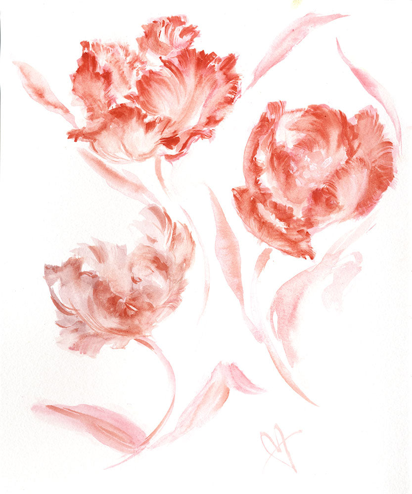 Watercolor of 3 orange parrot tulips on white ground