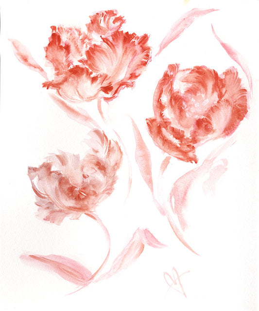 Watercolor of 3 orange parrot tulips on white ground